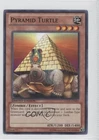 Pyramid Turtle
