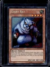 Giant Rat