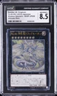Number 46: Dragluon