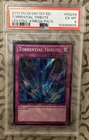 Torrential Tribute