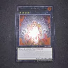 Brotherhood of the Fire Fist - Tiger King
