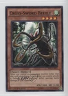 Cross-Sword Beetle