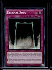 Eternal Soul
