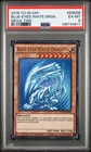 Blue-Eyes White Dragon