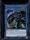 Paladin of Dark Dragon