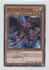 Red-Eyes Wyvern