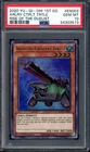 Artillery Catapult Turtle