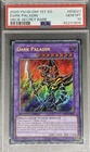 Dark Paladin