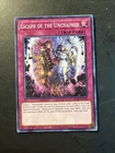 Escape of the Unchained