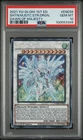 Shooting Majestic Star Dragon