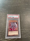 Baby Dragon