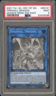 Firewall Dragon