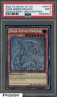 Dark Armed Dragon