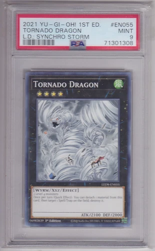 Tornado Dragon
