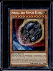 Nibiru, the Primal Being