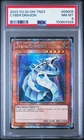 Cyber Dragon