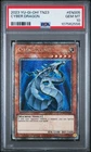 Cyber Dragon