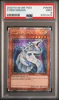 Red-Eyes Black Dragon