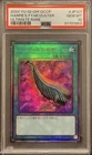 Harpie's Feather Duster