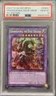 Granguignol the Dusk Dragon