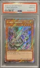 Cyber Dragon