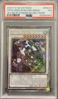 Crystal Wing Synchro Dragon