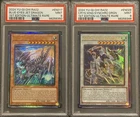 Crystal Wing Synchro Dragon