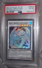 Dragon Shield