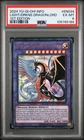 Light and Darkness Dragonlord