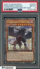 Red-Eyes Black Dragon