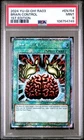 Brain Control