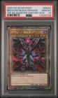 Red-Eyes Black Dragon
