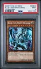 Red-Eyes Baby Dragon