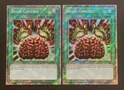 Set Rotation