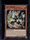 Ext Ryzeal