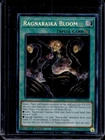 Ragnaraika Bloom