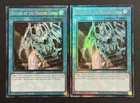 Dragon Master Knight