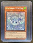 Mulcharmy Fuwalos