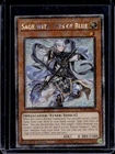Sage with Eyes of Blue