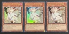 Ash Blossom & Joyous Spring