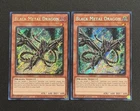 Coral Dragon