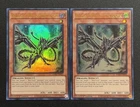 Coral Dragon