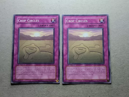 Crop Circles
