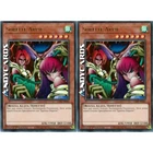 Harpie Lady Sisters