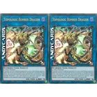 Topologic Bomber Dragon