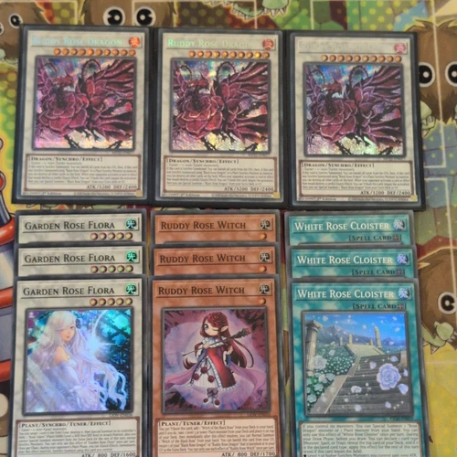 Black Rose Moonlight Dragon
