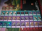 Miracle Locus