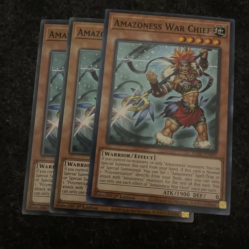 Amazoness Queen
