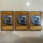 Vampiric Koala