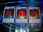 Black Rose Dragon